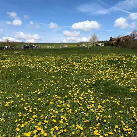 Zur Streuobstwiese アパート Storndorf