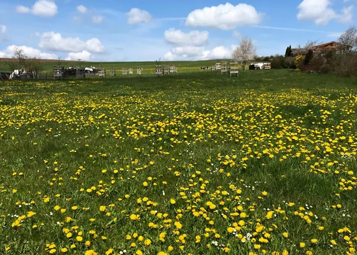 Zur Streuobstwiese Διαμέρισμα Storndorf